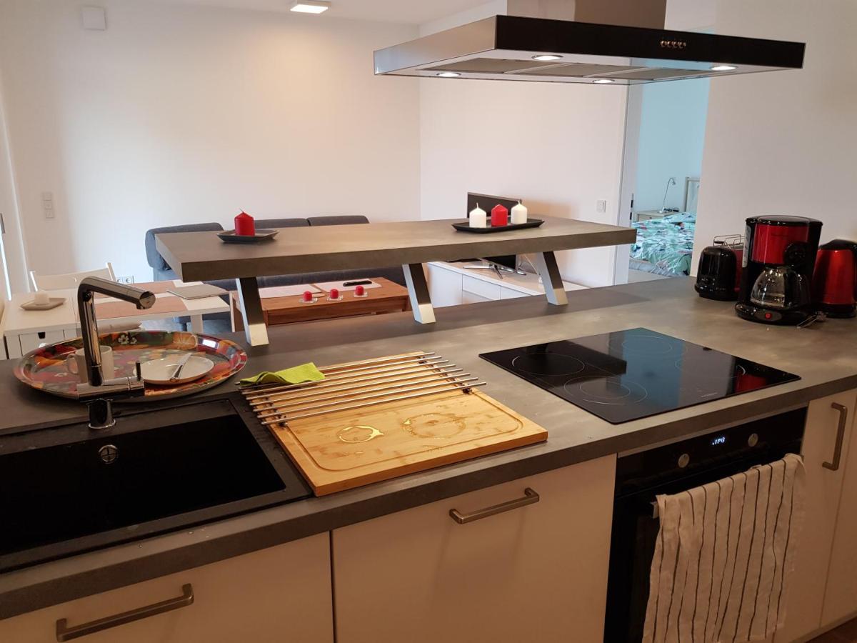 Ferienwohnung Wohnen direkt am Rhein, Zentrums- und Domnah, 55QM Speyer Exterior foto