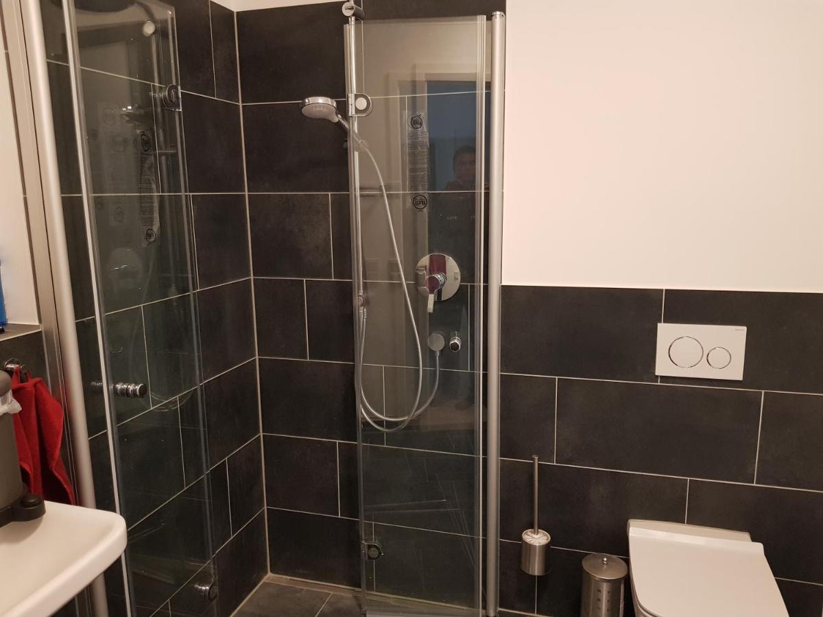 Ferienwohnung Wohnen direkt am Rhein, Zentrums- und Domnah, 55QM Speyer Exterior foto