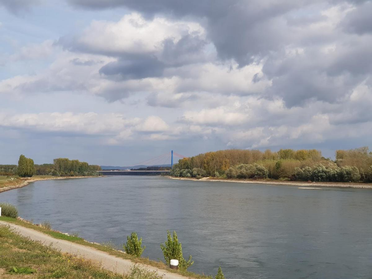Ferienwohnung Wohnen direkt am Rhein, Zentrums- und Domnah, 55QM Speyer Exterior foto